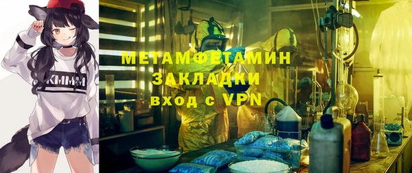 ПСИЛОЦИБИНОВЫЕ ГРИБЫ Арсеньев