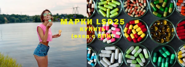 ПСИЛОЦИБИНОВЫЕ ГРИБЫ Арсеньев
