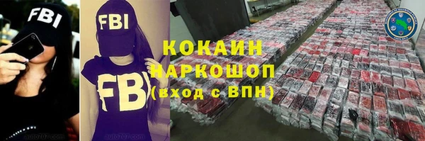 ПСИЛОЦИБИНОВЫЕ ГРИБЫ Арсеньев