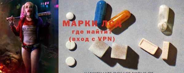 ПСИЛОЦИБИНОВЫЕ ГРИБЫ Арсеньев