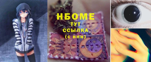 ПСИЛОЦИБИНОВЫЕ ГРИБЫ Арсеньев