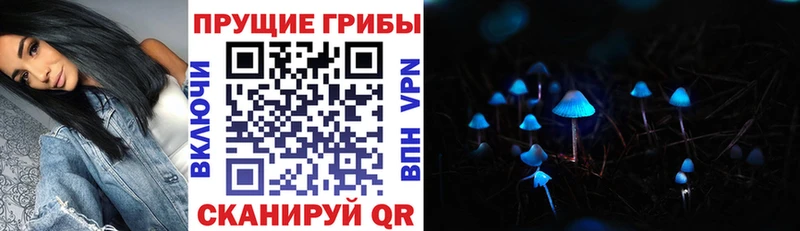 hydra зеркало  Михайловка  Галлюциногенные грибы Psilocybine cubensis 
